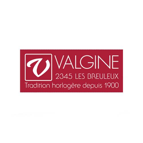 Guenat Valgine logo
