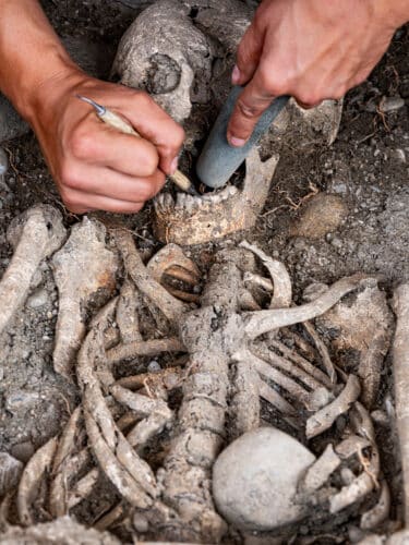 Mains travaillant sur un squelette encore en terre