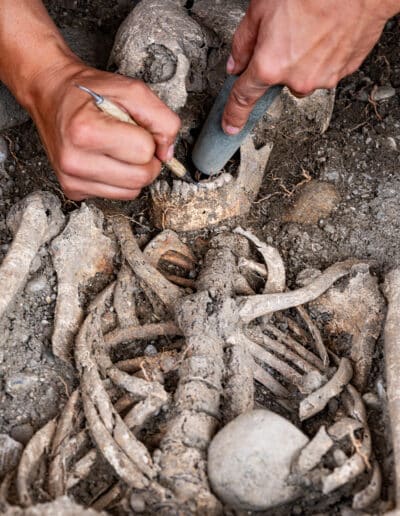 Mains travaillant sur un squelette