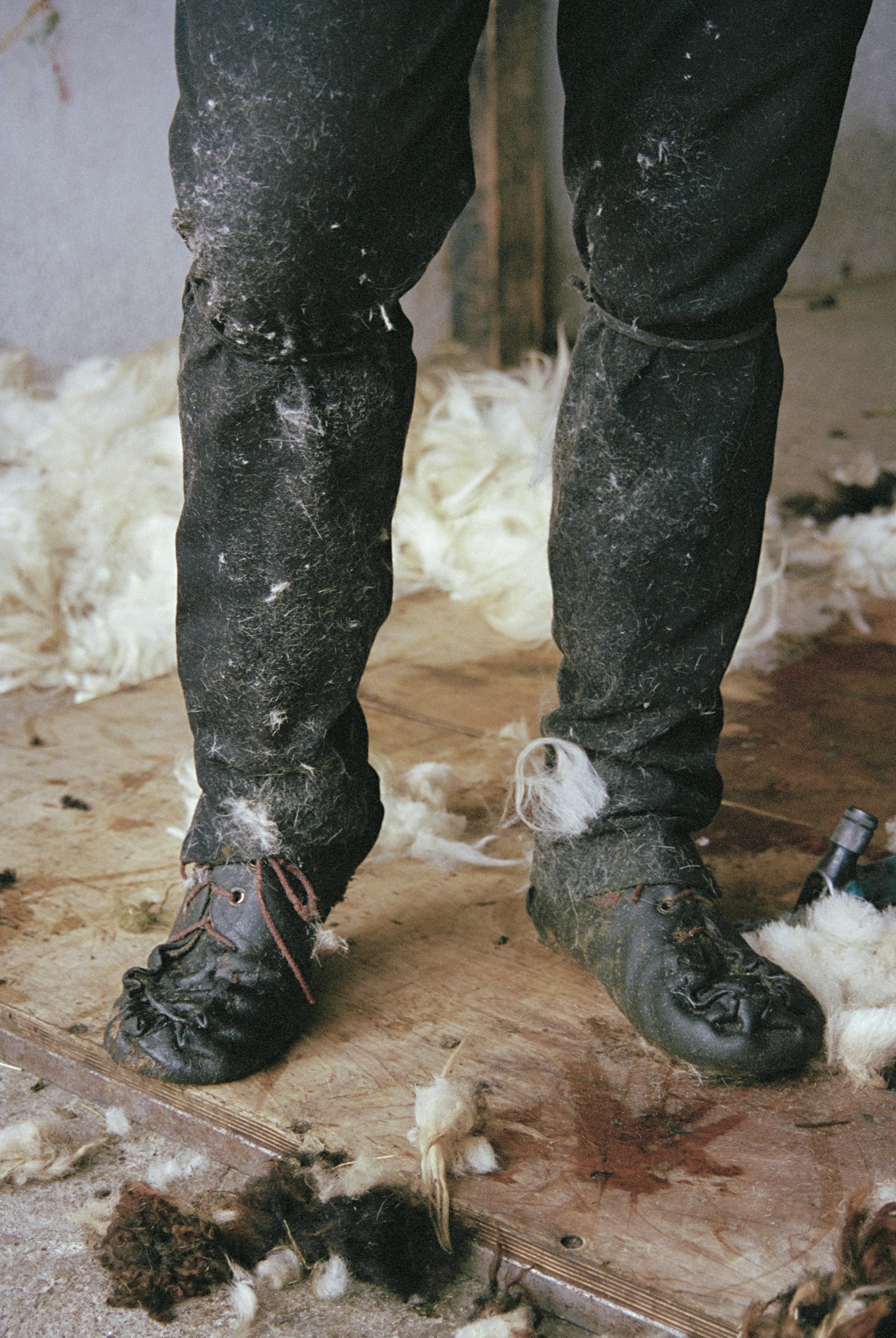 Pantalon et chaussures